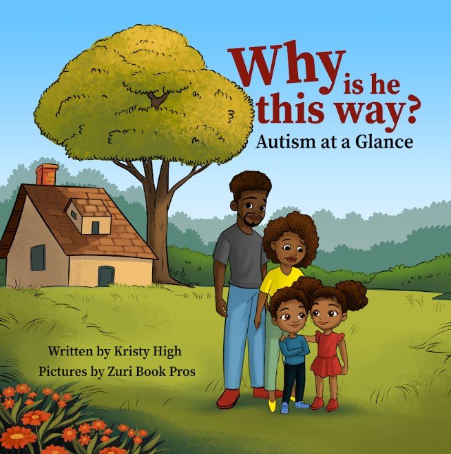 why is he this way-autism at a glance book by Kristy High